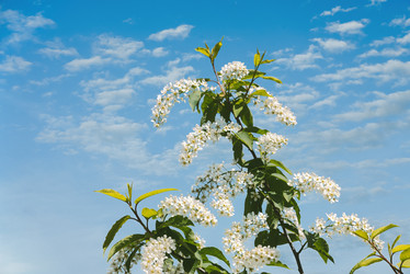 Similar image 21175037