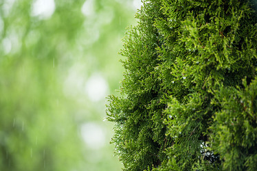 Similar image 21175039