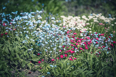 Similar image 21182135