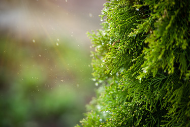 Similar image 21182138