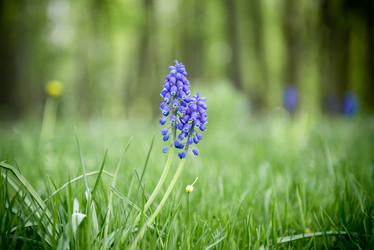 Similar image 21182139