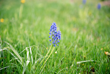 Similar image 21182140