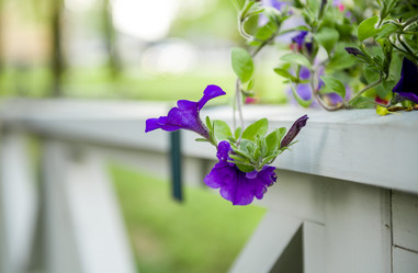 Similar image 21182141