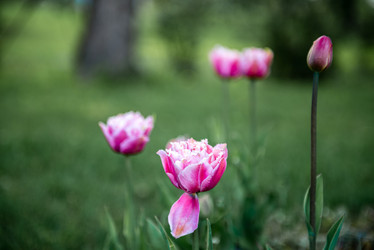 Similar image 21191390