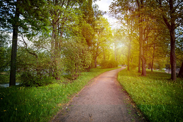 Similar image 21191394