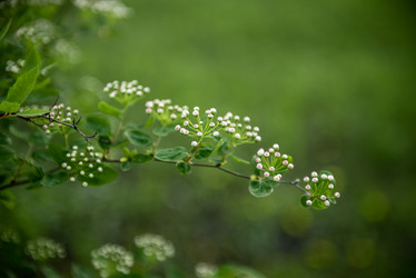 Similar image 21191396