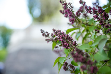 Similar image 21191398