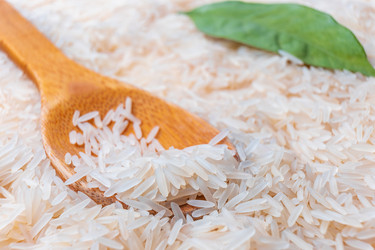 Similar image 21168517