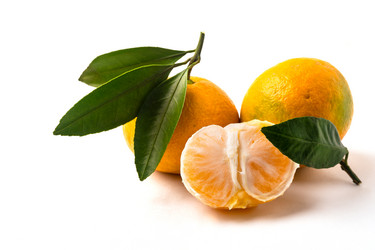 Similar image 21168519