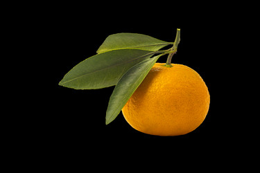 Similar image 21168553