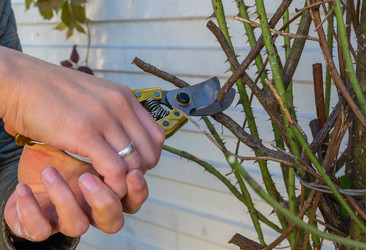 Similar image 21178813