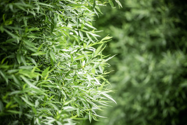 Similar image 21175055