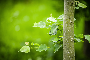 Similar image 21182145