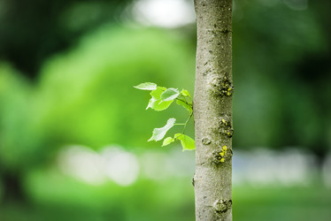 Similar image 21182148