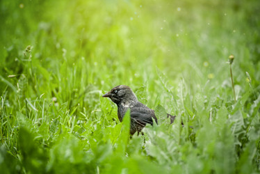 Similar image 21182151