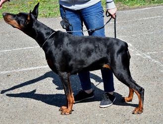 Similar image 21188336