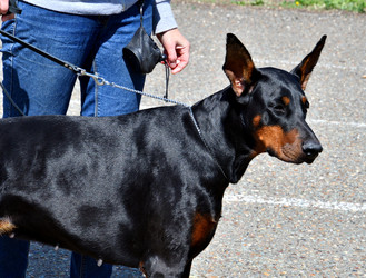 Similar image 21188337