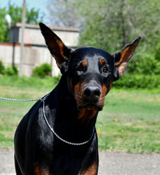 Similar image 21188339