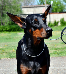 Similar image 21188340