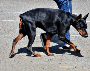 Similar image 21188341