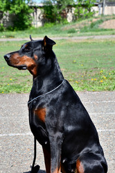 Similar image 21188342