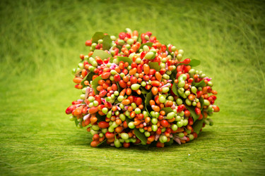 Similar image 21170482