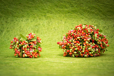 Similar image 21170483