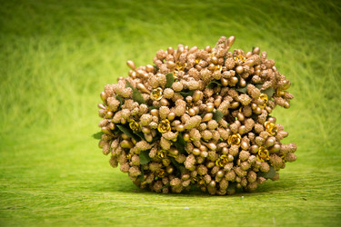 Similar image 21170484