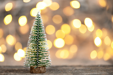 Similar image 21170494