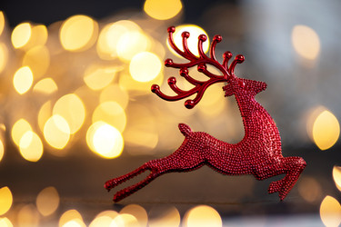 Similar image 21170687