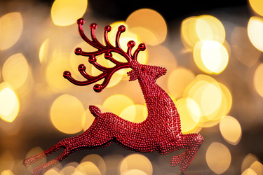 Similar image 21170688