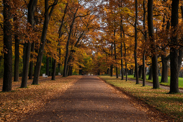 Similar image 21171010