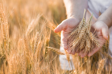 Similar image 21170871