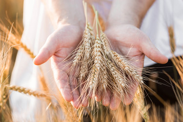 Similar image 21170873