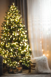 Similar image 21170876