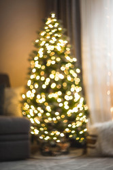 Similar image 21170879