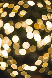 Similar image 21170882