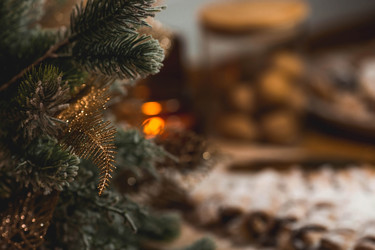 Similar image 21173634