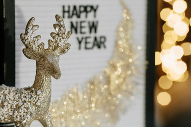 Similar image 21179988