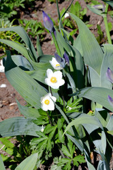 Similar image 21188353