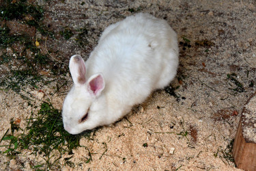 Similar image 21188359