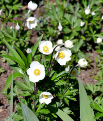 Similar image 21188362