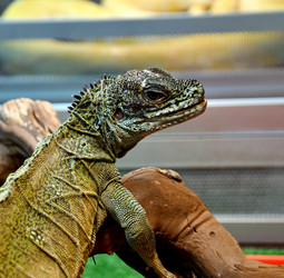 Similar image 21188364