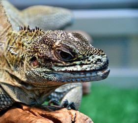 Similar image 21188365