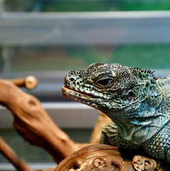 Similar image 21188366