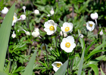 Similar image 21188368