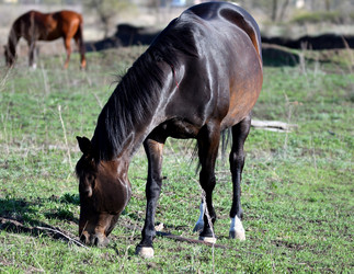 Similar image 21188373