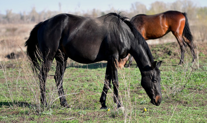 Similar image 21188375