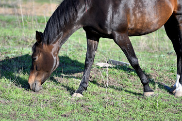 Similar image 21188376