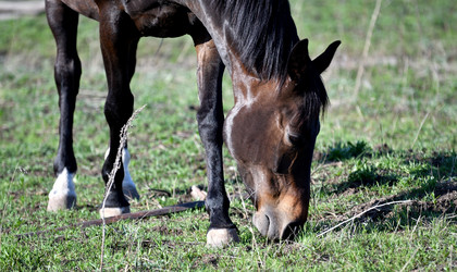 Similar image 21188377